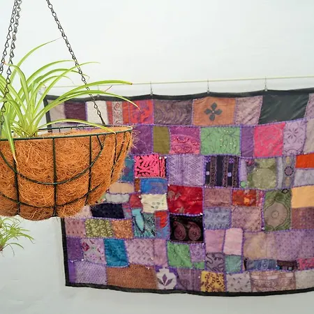 カントリーハウス Casitas